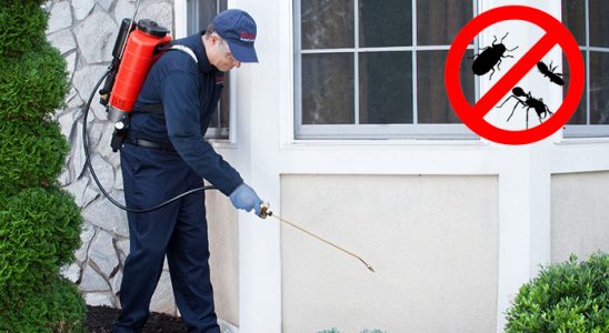Polatlı Tahtakurusu İlaçlama böcek ilaçlama ve haşere kontrolü — ilaclama-tr.com